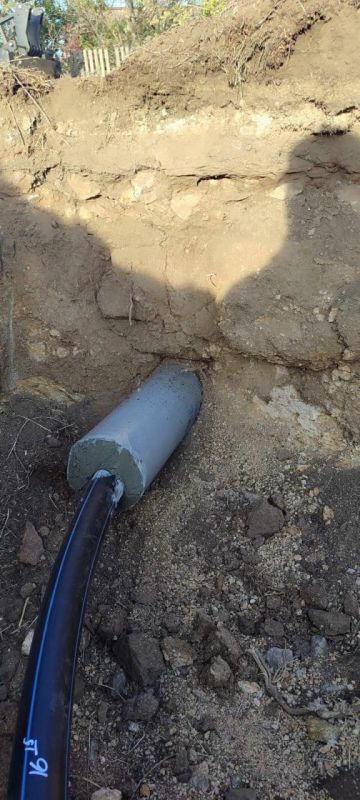 ����� �����: ���������� ������������� ������� ��������������� ������������� ���� � ���� ������������ ����������� ������