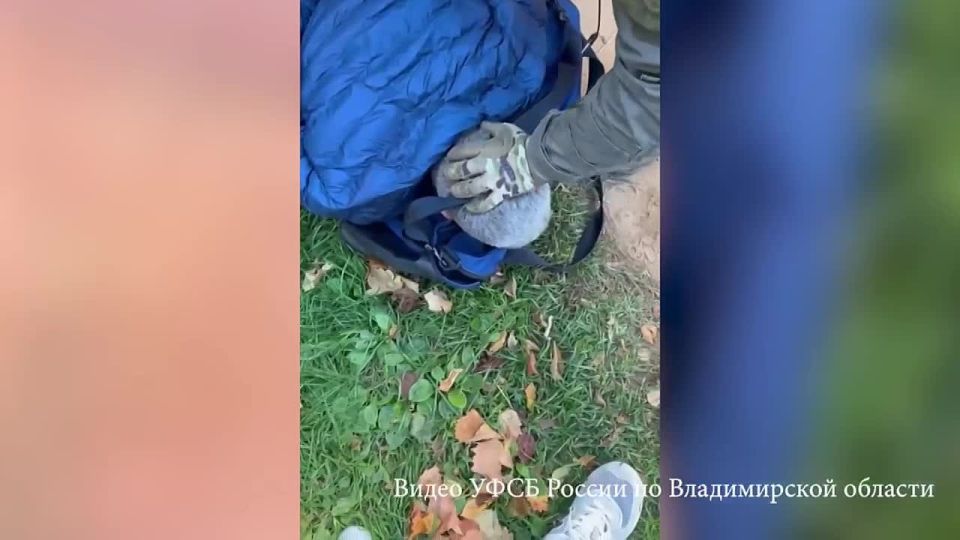 �� ������������ ������� ��� ���������� �������� ���������� �������� ��������� �� ��������������