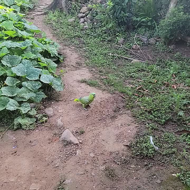 ����� ������ ������������, �� �� ����� ������� ���������