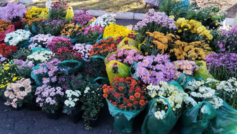 В Ждановке прошла ярмарка. 15 октября у городского центра культуры и досуга были представлены товары от производителей и предпринимателей из разных городов Донецкой Народной Республики