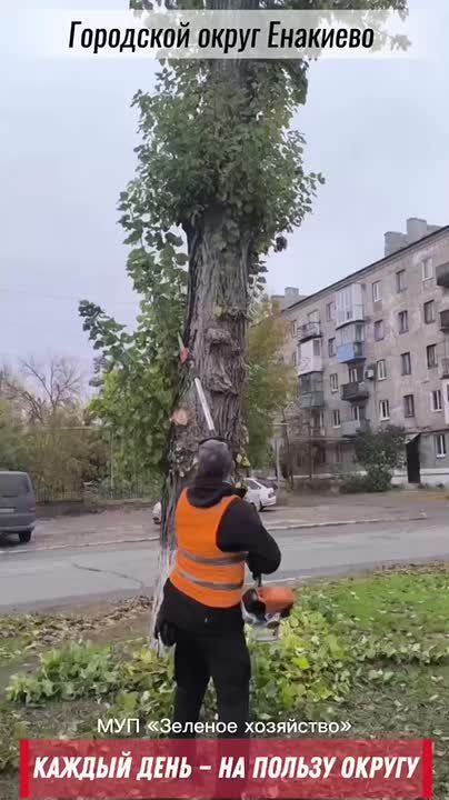 ������� ���� � �� ������ ������