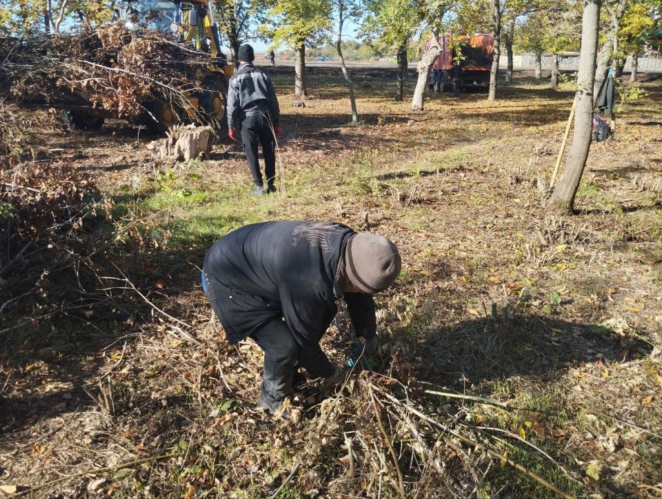 ������� ����������: ��������������� � ������������� ������