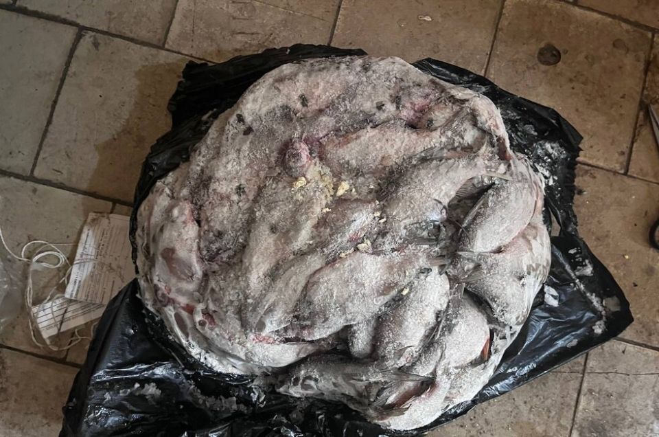 Житель Шахтерска выловил 1 тыс. карасей и плотвы и понесет ответственность