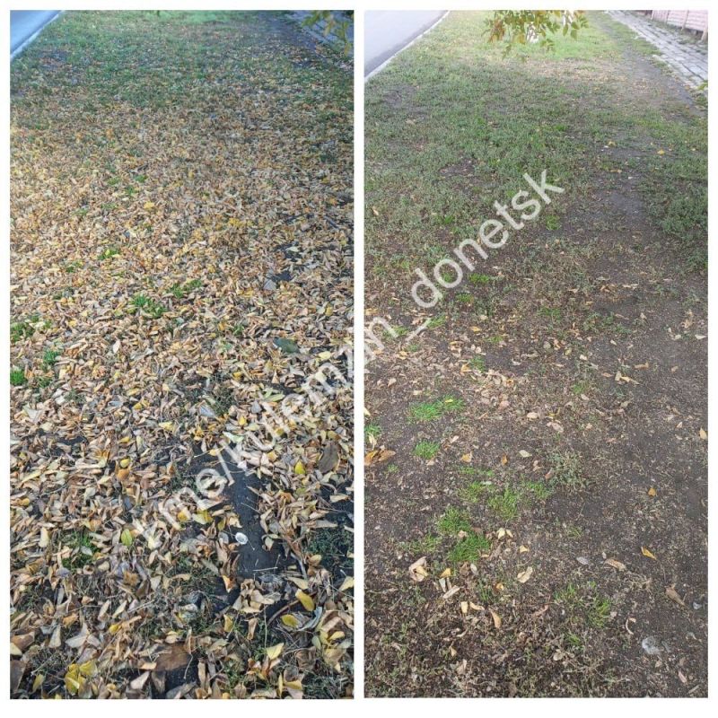 Алексей Кулемзин: Специалисты коммунального предприятия «Зелёное строительство» продолжают работу по поддержанию и благоустройству нашего города