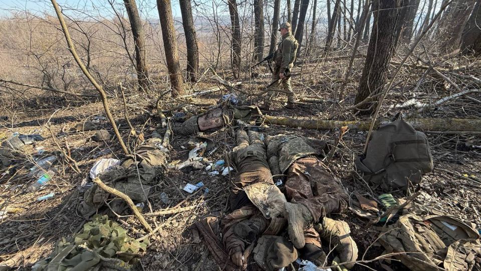 ��� 800 ������� �� ����: ������� ������ ����������� � ������ ������� ���