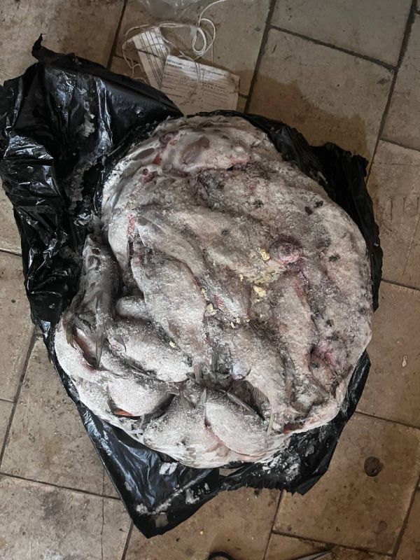 Браконьер из Шахтерска незаконно наловил рыбы на миллион рублей