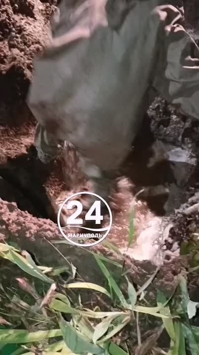 ����� ��������. ���� ���������� ������������ �� ������ ������� ����� �� ��. �����������