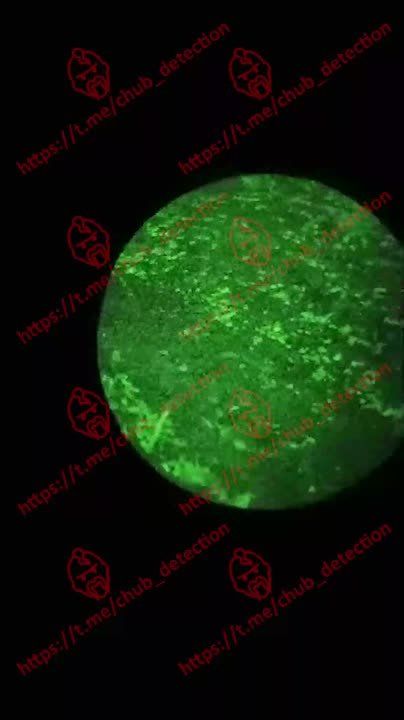 ��� ���������. ������������� ��� ���� ���� ���������� ������ � ��������