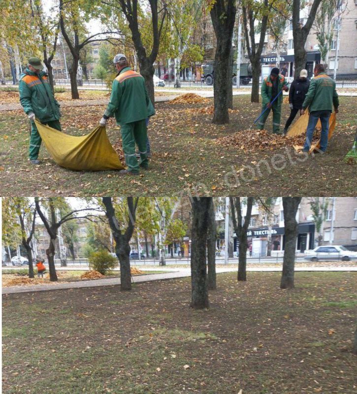 ������� ��������: ��������������� � ������ ������������