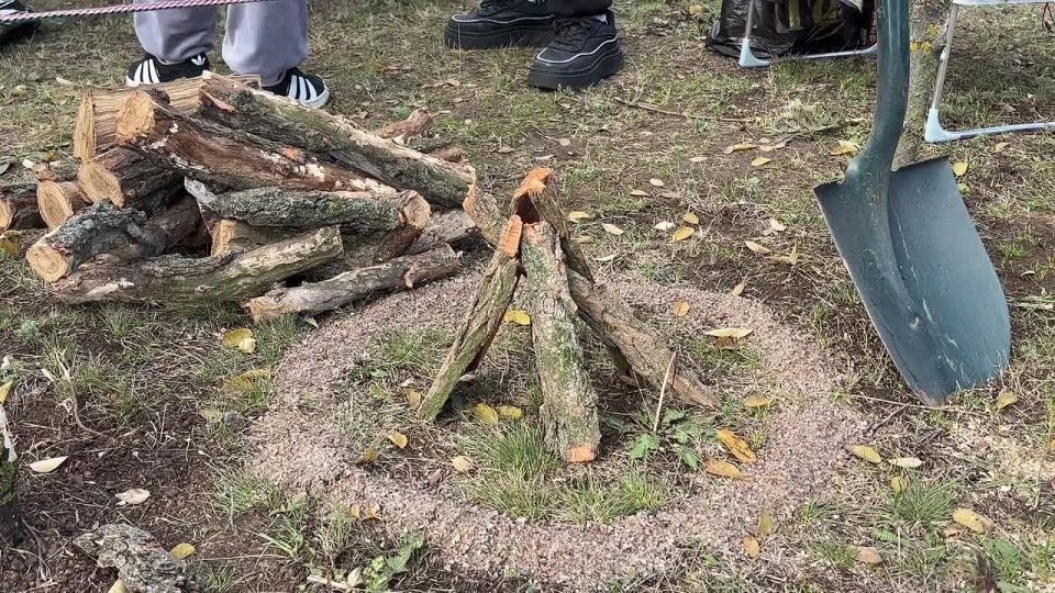 � ������ ���������� ������� ������ ������ "������� �����" �� ���� ������ �����������, ����������� �������