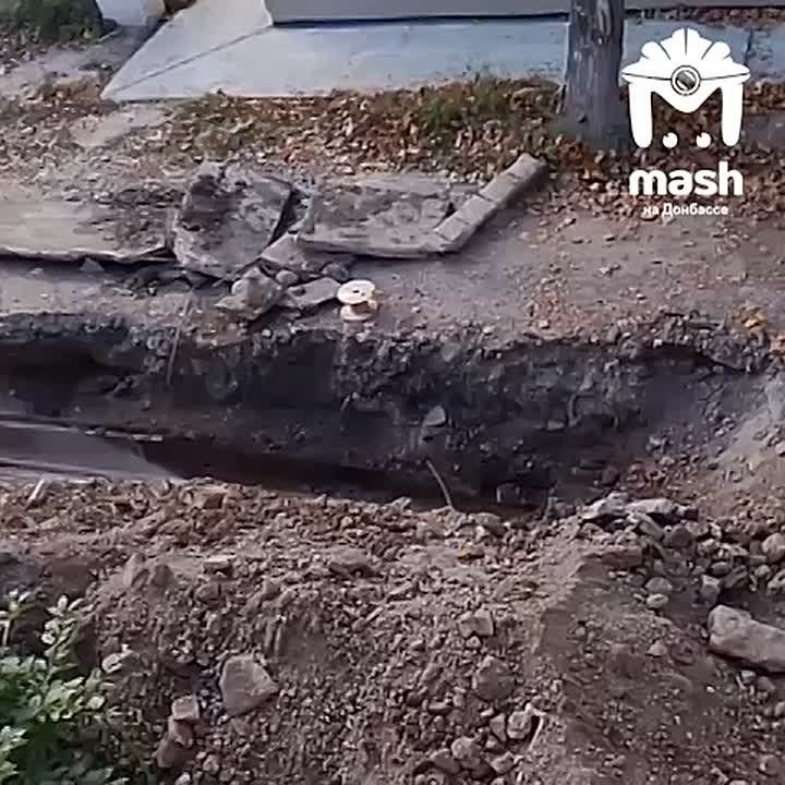 ���������� ������������ ���� ��������� � ��������� �� �������