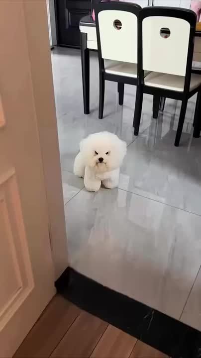 ����� �� �� �����, �� ��� �������� �������� �������