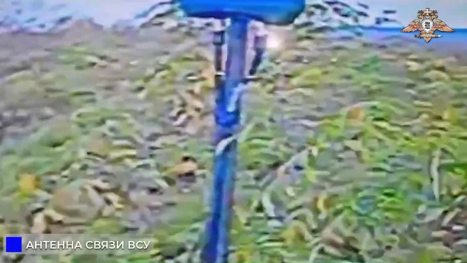 102 ��� ���������� ������� ����� � ����������� ��� � ��������