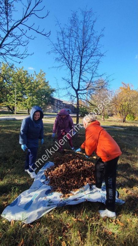 ������� ��������: ���������� ����������� ���������� ������� ����������� � ����������, ������� � ��������������� ������