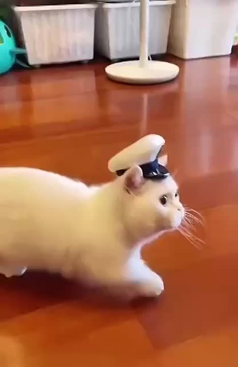 ������� ������ ��������� ����� ������� ��������
