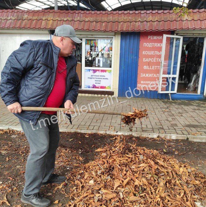 ������� ��������: ��������������� ������ � ���������� ������ �� �������� � ������� � ������� ������� � ����������