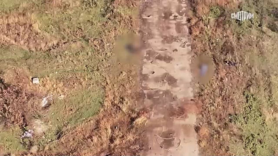 ��� ��������� ���� �� �����������, ������� ����� �� �������������� � ������� �������, ������� �������� ���� ������ ��������