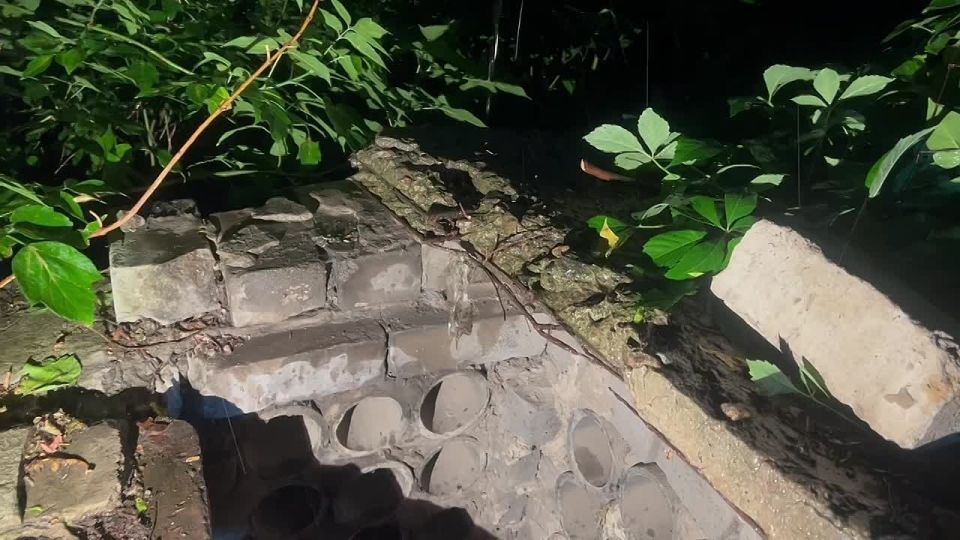 ��� ����������� ���������, ���� ���� �������� ����!