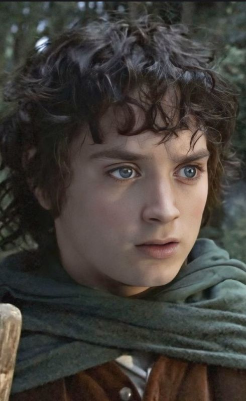 ��������� ��������: �����������. ������ ���