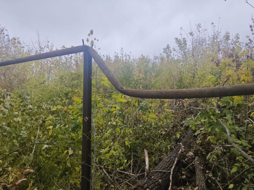 ������� ��������: ������, �������, ������� � ����������� � ������� � �������� � �������� ������ �������? ����� ����� �� ����� ������ ��� ����� ������ �� ������ ��������� ������