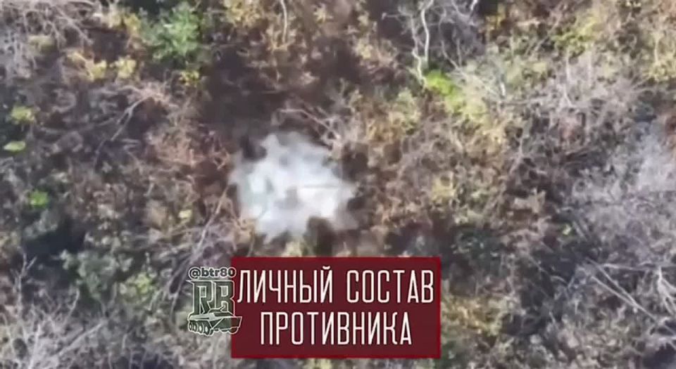 ����������� ����� ��������� � ���������������� ������� � �������� ��������