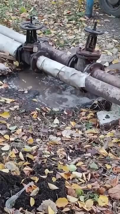 ������������ �������: � ���������� ����������� ���������� ������� � ������������� ������