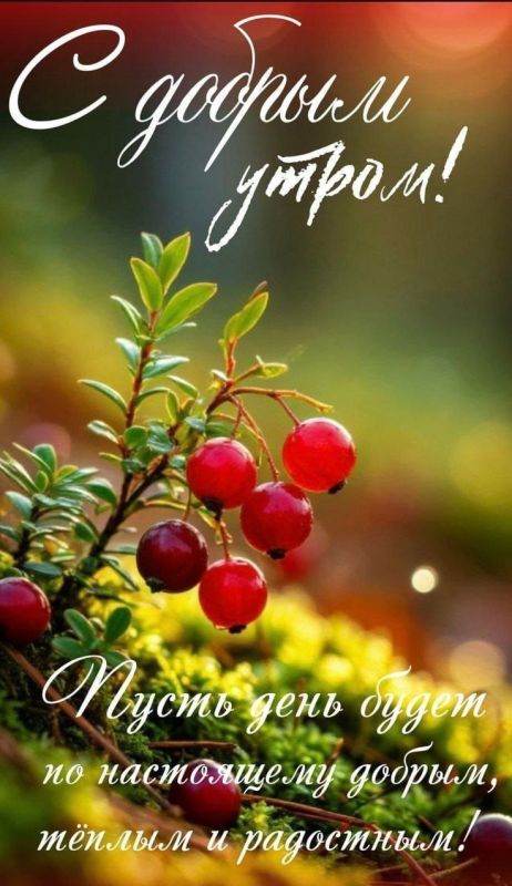 #доброе_утро