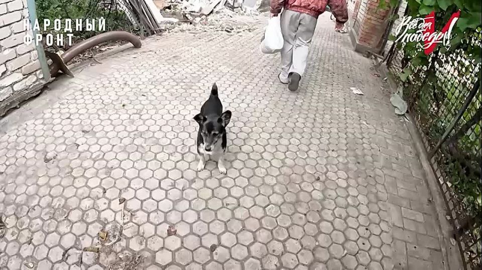 ��������� �� ������� �������� ��� ����������, �� �� ������� ���� � �������
