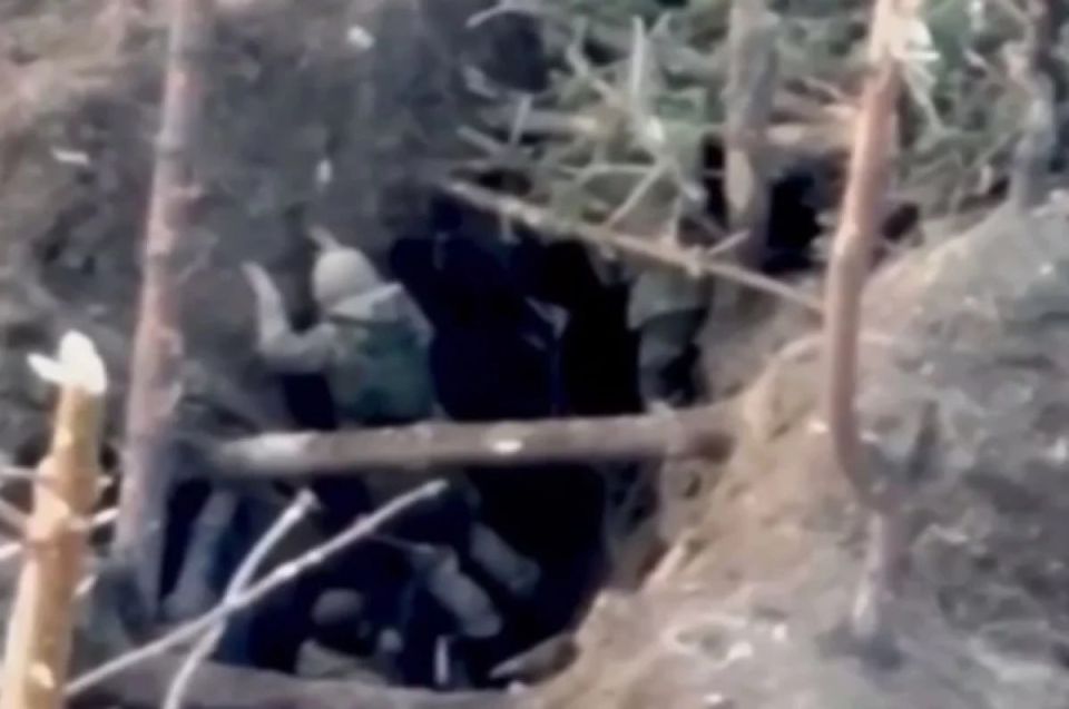 «Перемога» с душком. Киев применяет в бою новую тактику – «стена трупов»