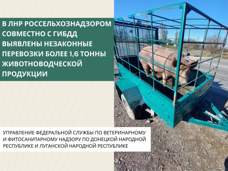 � ��� ������������������ ��������� � ����� �������� ���������� ��������� ����� 1,6 ����� ���������������� ���������