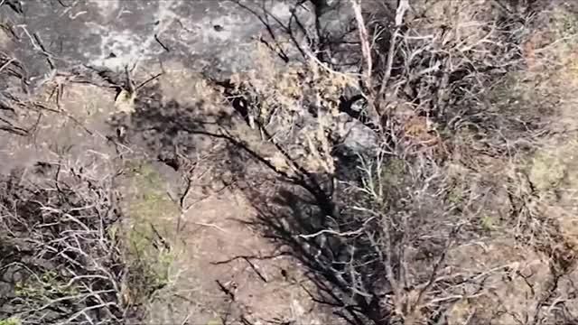 ���������� �������� ����� �������������� ������� �������� � ���