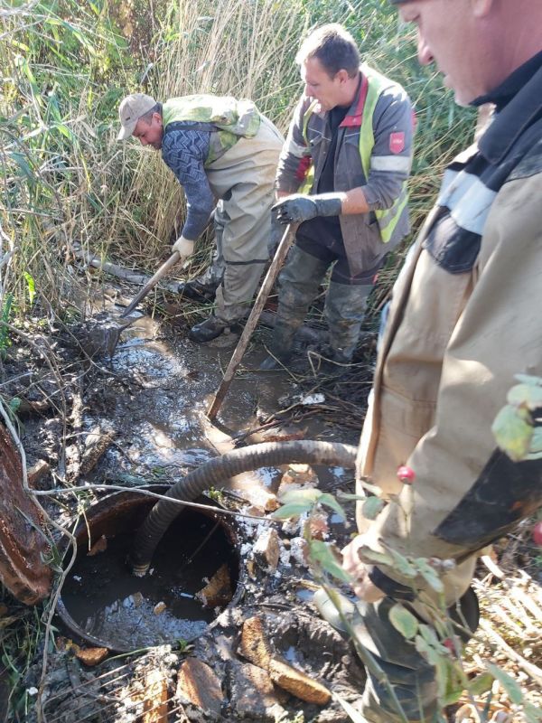 ������� ����������: �� ��������� ������ ������������� ������� �������������� ���������� ��������� � ��������-����� ������������ �������� ��������� ����� 45 ����� ����� � ������� ������������� � �������������