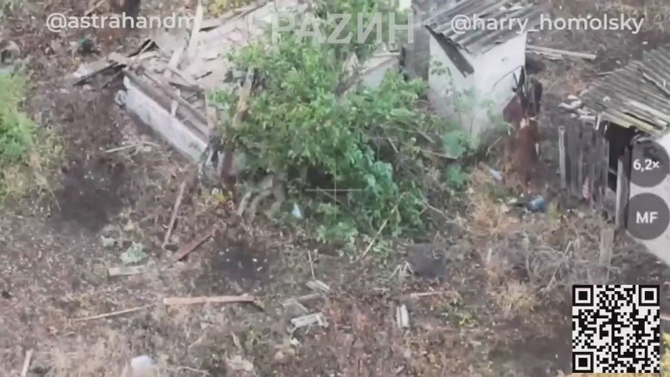 ����� ����������: ������, ��������� � ���������� �������, �������� ���������� � �������� ������� �� ���������� ������������ 110 ������� � ���� �� ����� ������� � ����������� �������������, ������� ������ ��������� ��...