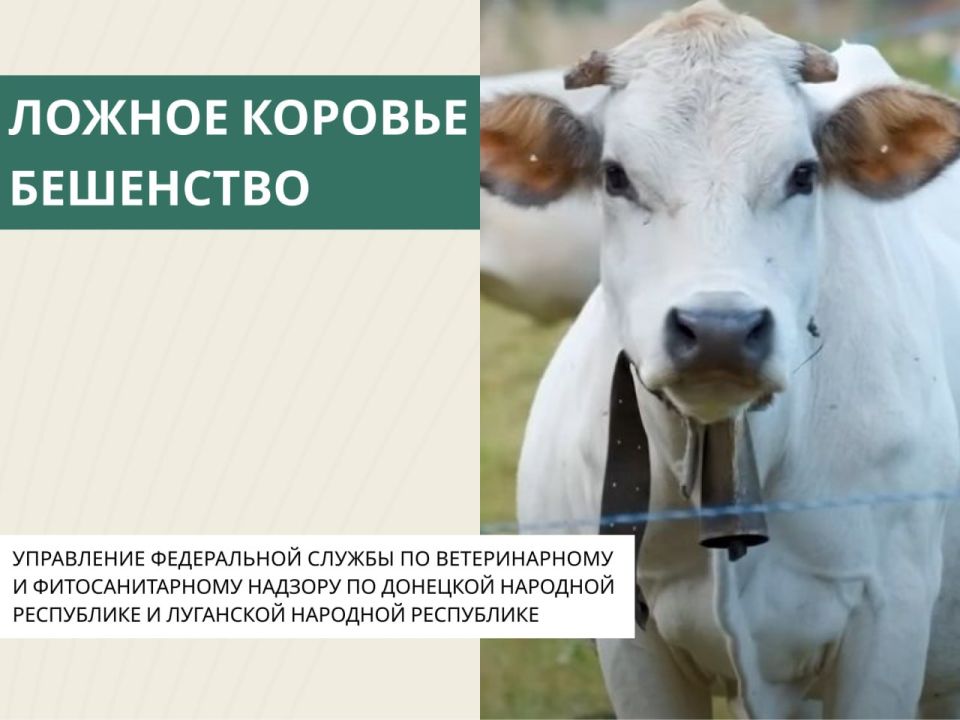 ������ ������� ���������. ��� ������� �������� �������� ����� ������ ��� �������� � ���� ���� ���� ������� ��������, �� ����� �������� �������� ������������� � �����, ���������� �������� ���� ��������