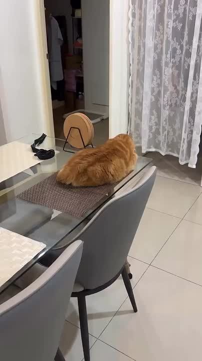 �����, ���������:. � �� ����������� ����� ����� ������� ����? ��� ����������?