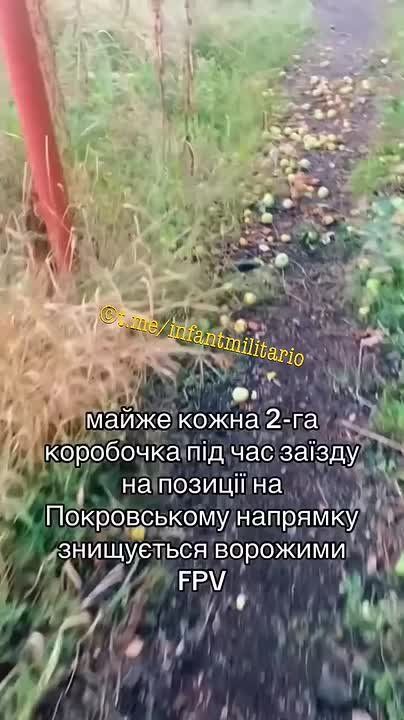 ��������� ������������ ����������� ��� �� ������� ������ ��� ����������