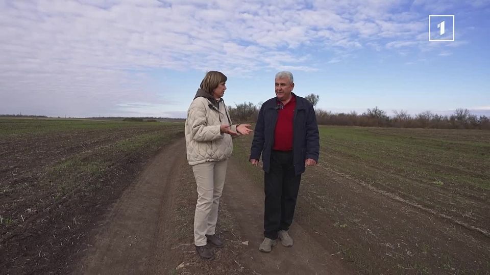 В новом выпуске НАСТОЯЩИХ Елена Никитина отправляется в поля Амвросиевки, где уже сотни лет сеют и собирают зерновые