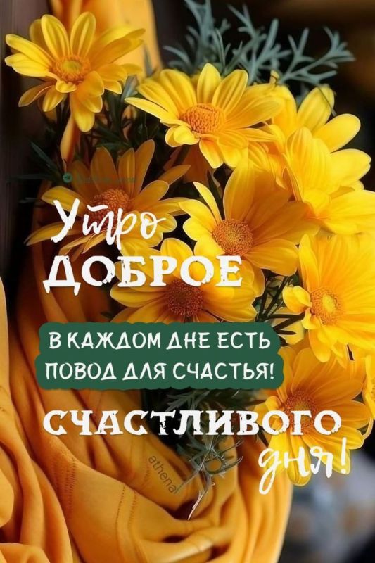 #доброе_утро