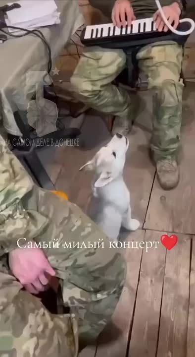 ������ ���� ���, ������� ��������!