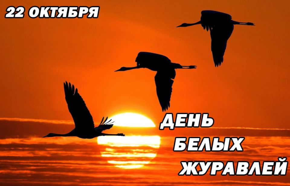 Александр Петрикин: Уважаемые земляки!. Сегодня, 22 октября, мы отмечаем День Белых Журавлей
