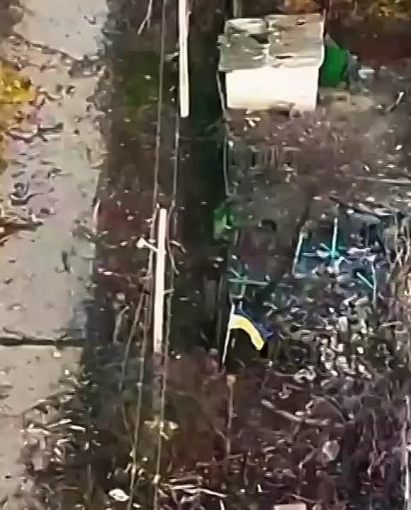 Солдаты ВСУ зашли на северную окраину Кучеров Яра, который является сейчас острием Добропольского прорыва ВС РФ