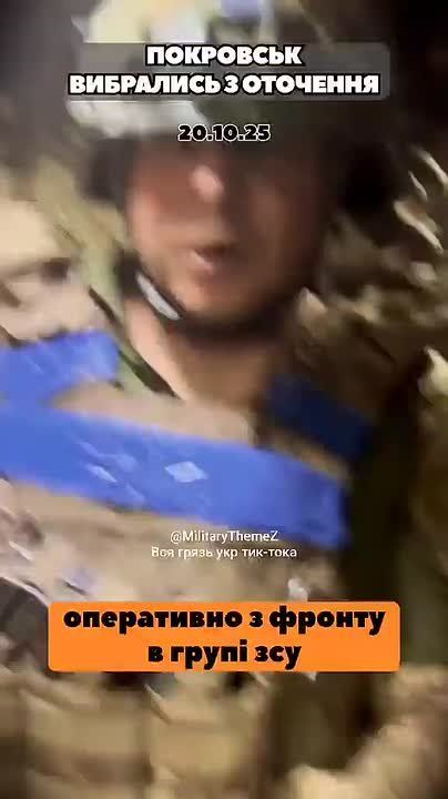 ������ ���������, ������, ��� ������
