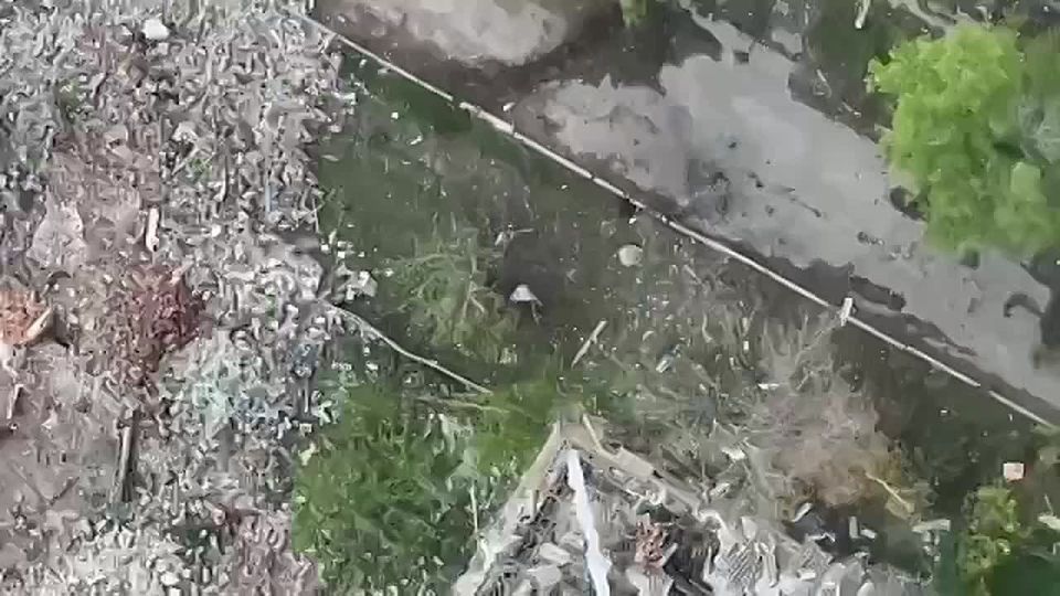 ��� ��������, ������ ����� ������ �� ������ ������� ������ ���������� ���������� "����-���"