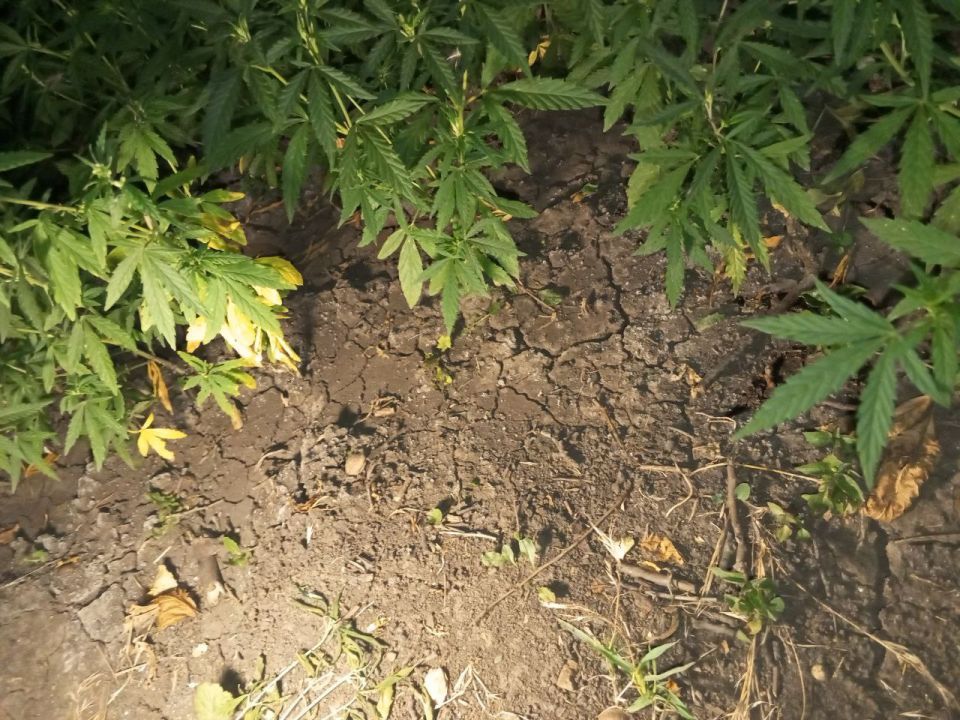 ���������� ������� ��������� ������� �� �������� � ��������������� ��������������� ��������