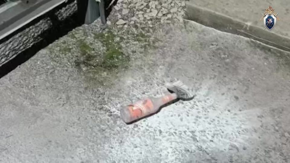 Новости к этому часу:. Единый федеральный регистр беременных начнет работу в России с 1 марта 2026 года