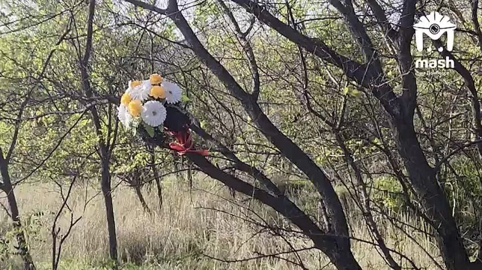 "�� ����-�� ������ � �������: �� ��� ���� ����� ����, �� ���, �***�, ��� ������ �����"