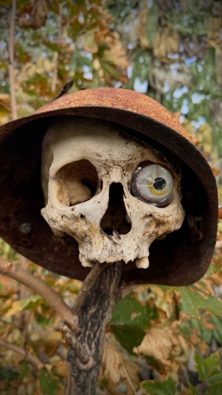 Русский ультиматум: ВСУ покинут Покровск до понедельника или будут сожжены