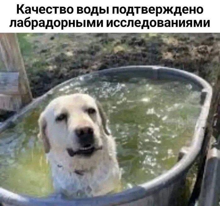 ��� ����� ��������� �������� ���� ��-��� ����� � �������