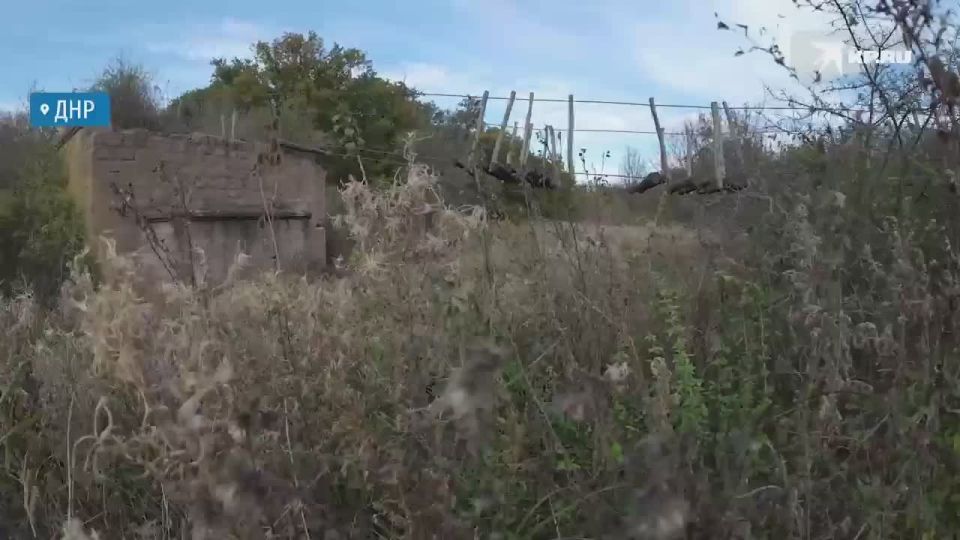 � ������ ��� �������� ���������� ������: ����������� �������� ����������� ���������, ����������� ��� ��������� II � �������� ��������