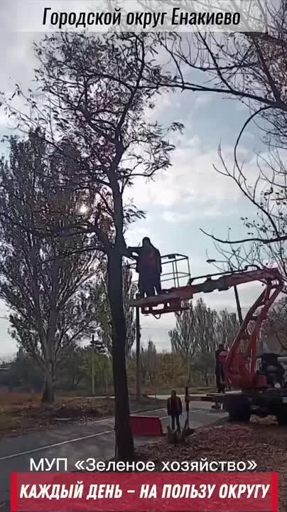 ������� ���� � �� ������ ������